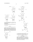 PRODRUGS OF TRICIRIBINE AND TRICIRIBINE PHOSPHATE diagram and image