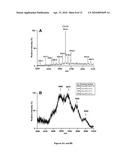 POLYVALENT BIOCONJUGATES diagram and image