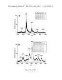 POLYVALENT BIOCONJUGATES diagram and image