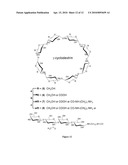 POLYVALENT BIOCONJUGATES diagram and image