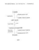 Aldolases, Nucleic Acids Encoding Them and Methods for Making and Using Them diagram and image