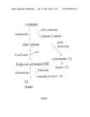 Aldolases, Nucleic Acids Encoding Them and Methods for Making and Using Them diagram and image