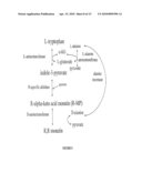 Aldolases, Nucleic Acids Encoding Them and Methods for Making and Using Them diagram and image