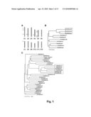 Method of Controlling Plant Growth and Architecture by Controlling Expression of Gibberellin 2-Oxidase diagram and image