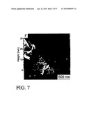 FUNCTIONAL GRAPHENE-RUBBER NANOCOMPOSITES diagram and image