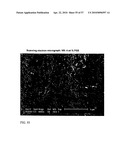 FUNCTIONAL GRAPHENE-RUBBER NANOCOMPOSITES diagram and image