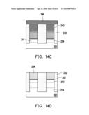 FLASH MEMORY AND FLASH MEMORY ARRAY diagram and image