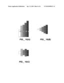 Methods and Devices for Quantitative Analysis of X-Ray Images diagram and image