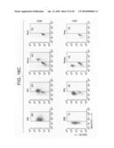 Method of treating tuberculosis with interferons diagram and image