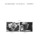 Autologous dental pulp stem cell-based bone graft substitute diagram and image