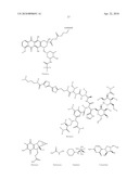 COMBINATION OF BENZIMIDAZOLE ANTI-CANCER AGENT AND A SECOND ANTI-CANCER AGENT diagram and image