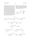COMBINATION OF BENZIMIDAZOLE ANTI-CANCER AGENT AND A SECOND ANTI-CANCER AGENT diagram and image
