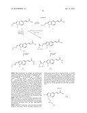 COMBINATION OF BENZIMIDAZOLE ANTI-CANCER AGENT AND A SECOND ANTI-CANCER AGENT diagram and image