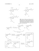 COMBINATION OF BENZIMIDAZOLE ANTI-CANCER AGENT AND A SECOND ANTI-CANCER AGENT diagram and image