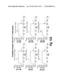 Antibodies that bind human dendritic and epithelial cell 205 (DEC-205) diagram and image