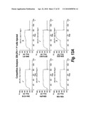 Antibodies that bind human dendritic and epithelial cell 205 (DEC-205) diagram and image