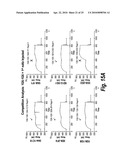 Antibodies that bind human dendritic and epithelial cell 205 (DEC-205) diagram and image