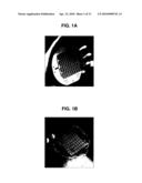 FABRICATION OF TISSUE LAMINA USING MICROFABRICATED TWO-DIMENSIONAL MOLDS diagram and image