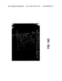 FABRICATION OF TISSUE LAMINA USING MICROFABRICATED TWO-DIMENSIONAL MOLDS diagram and image