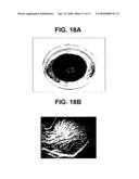 FABRICATION OF TISSUE LAMINA USING MICROFABRICATED TWO-DIMENSIONAL MOLDS diagram and image