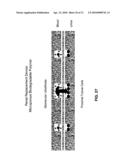 FABRICATION OF TISSUE LAMINA USING MICROFABRICATED TWO-DIMENSIONAL MOLDS diagram and image