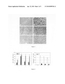 Arg-Gly-Asp (RGD) Sequence Containing Cyclic Peptide and Its Active Targeting Liposomes diagram and image