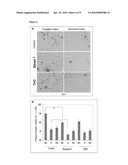 Extracts of Curcuma and Methods of Use Thereof diagram and image