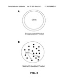 MATRIX-EMBEDDED COMPOSITIONS HAVING ORGANIC ACIDS AND FATTY ACIDS diagram and image