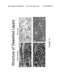 Layer-by-layer assemblies having preferential alignment of deposited axially anisotropic species and methods for preparation and use thereof diagram and image