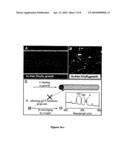 Single-walled carbon nanotubes and methods of preparation thereof diagram and image