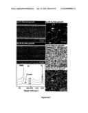 Single-walled carbon nanotubes and methods of preparation thereof diagram and image