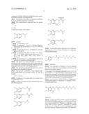 ULTRA-THIN HYDROPHOBIC AND OLEOPHOBIC LAYER, ITS METHOD OF MANUFACTURE AND USE IN MECHANICS AS A BARRIER FILM diagram and image