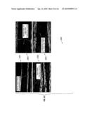 CARBON NANOTUBE FIBER-REINFORCED POLYMER COMPOSITES HAVING IMPROVED FATIGUE DURABILITY AND METHODS FOR PRODUCTION THEREOF diagram and image