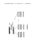 Method for Imprinting and Erasing Amorphous Metal Alloys diagram and image