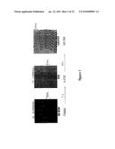 Method for Imprinting and Erasing Amorphous Metal Alloys diagram and image