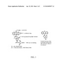 STABLE ACRIDINIUM ESTERS WITH FAST LIGHT EMISSION diagram and image