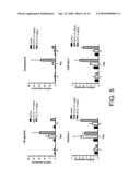 BIOMARKERS AND METHODS FOR DETERMINING SENSITIVITY TO CTLA-4 ANTAGONISTS diagram and image