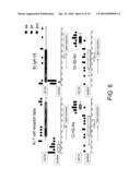 BIOMARKERS AND METHODS FOR DETERMINING SENSITIVITY TO CTLA-4 ANTAGONISTS diagram and image