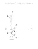  ULTRA-HIGH MULTIPLEX ANALYTICAL SYSTEMS AND METHODS  diagram and image