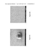  ULTRA-HIGH MULTIPLEX ANALYTICAL SYSTEMS AND METHODS  diagram and image