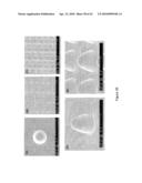  ULTRA-HIGH MULTIPLEX ANALYTICAL SYSTEMS AND METHODS  diagram and image