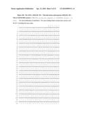 ANTIBODIES AGAINST A PROTEIN ENTITLED 161P2F10B diagram and image