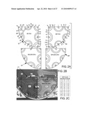 Direct Antimicrobial Susceptibility Assay diagram and image