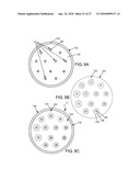 Direct Antimicrobial Susceptibility Assay diagram and image