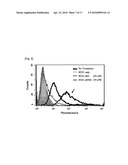 COMBINED USE OF CELL PERMEABLE NANOG AND OCT4 FOR INCREASING SELF-RENEWAL AND SUPPRESSING DIFFERENTIATION OF STEM CELLS diagram and image