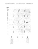 COMBINED USE OF CELL PERMEABLE NANOG AND OCT4 FOR INCREASING SELF-RENEWAL AND SUPPRESSING DIFFERENTIATION OF STEM CELLS diagram and image