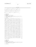 RECOMBINANT HUMAN EPO-FC FUSION PROTEINS WITH PROLONGED HALF-LIFE AND ENHANCED ERYTHROPOIETIC ACTIVITY IN VIVO diagram and image