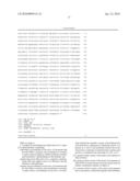 Method for producing L-amino acids using bacteria belonging to the genus escherichia diagram and image