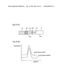 CHROMATOGRAPHY QUANTITATIVE MEASURING APPARATUS diagram and image