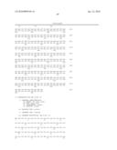 POLYNUCLEOTIDES ENCODING CLASS II CYTOKINE RECEPTOR-7 diagram and image